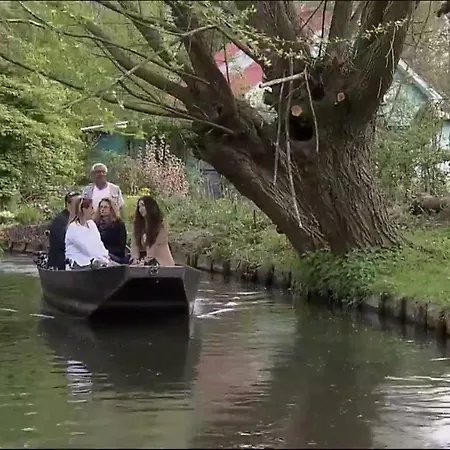 L'hortensia Blanc Hangest-en-Santerre
