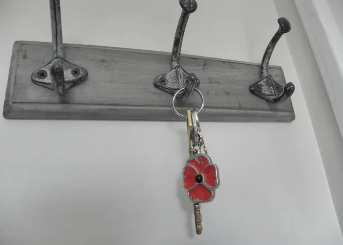 L'hortensia Blanc Hangest-en-Santerre